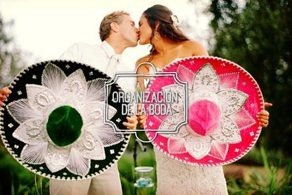 Fotografias boda charra 6