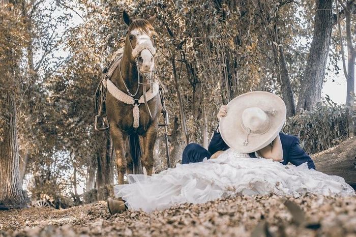 Fotografias boda charra 4