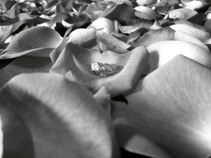 Guerra de fotitos de propuestas.... - 1