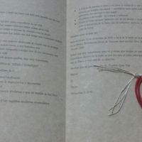 Invitaciones para mis madrinas hechas por mi - 5