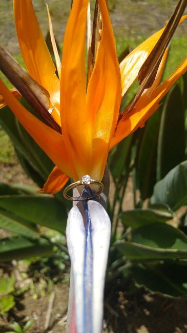 Anillito 😍🌹 - 1