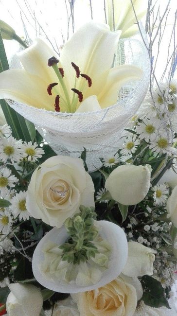  Al fin tengo mi anillo 💍 - 2