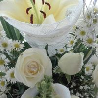  Al fin tengo mi anillo 💍 - 2