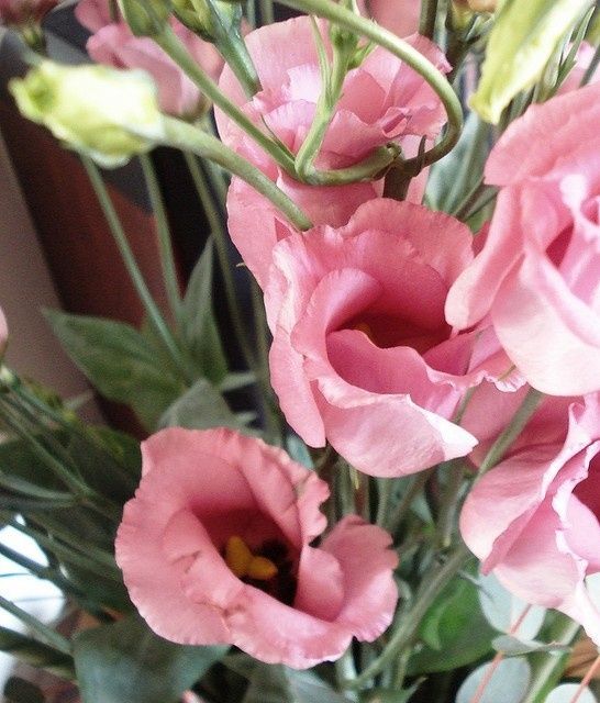 Centro de mesa parte 4! - 1