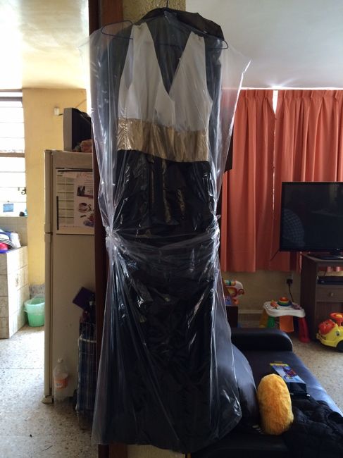 Avances a 24 días - 2