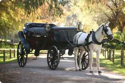 carruaje