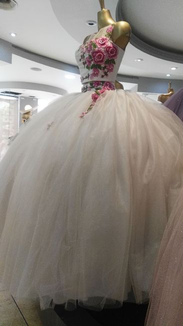 ¿Boda, noche mexicana o Xv? - 1