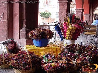 ESTOS  SON LOS  RECUERDOS PARA  FAMILIA