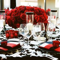 Rojo & Negro