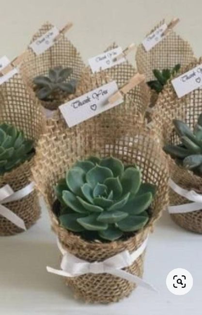 Mis recuerdos de ensueño #estefanía 1