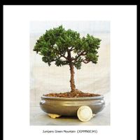 Nuestra fiesta: marylu y eduardo - 5