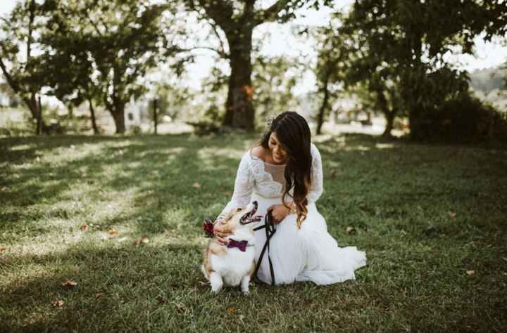 🌳Bodas De Ensueño: China + Nate