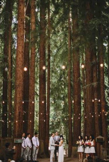 🌲¿boda en el bosque en méxico? - 1