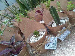 Mis Recuerdos de Ensueño #vanessa 3