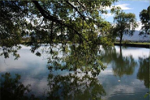 Qué tan caro es casarse en alguna hacienda? 25