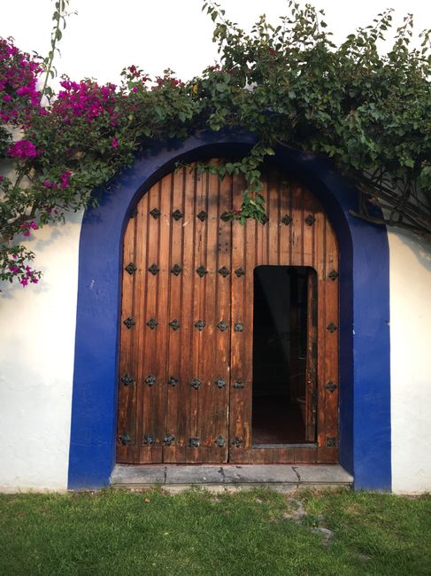 Prueba de menú y tour por la Hacienda donde me casaré 😁 - 9