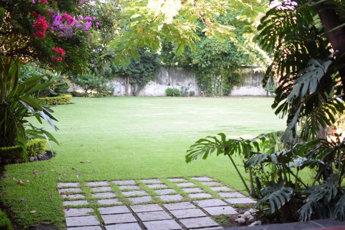 Más fotos del lugar donde me casaré - 7