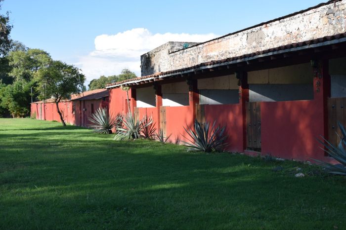 Más fotos del lugar donde me casaré - 12