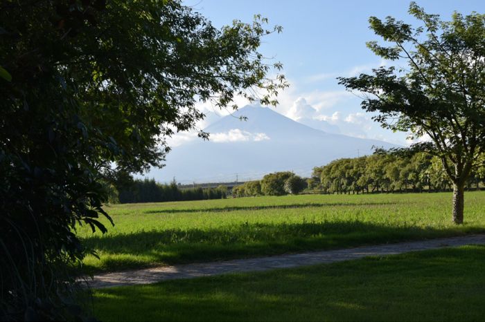 Más fotos del lugar donde me casaré - 15