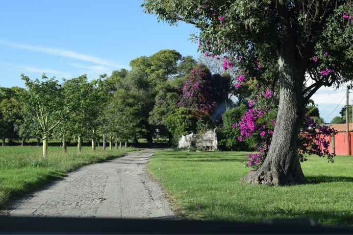 Más fotos del lugar donde me casaré - 14