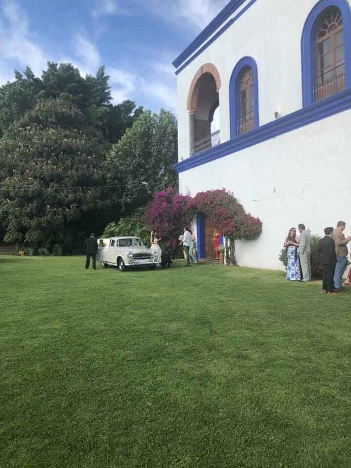 Ya me casé y todo estuvo increíble 😍 - 5