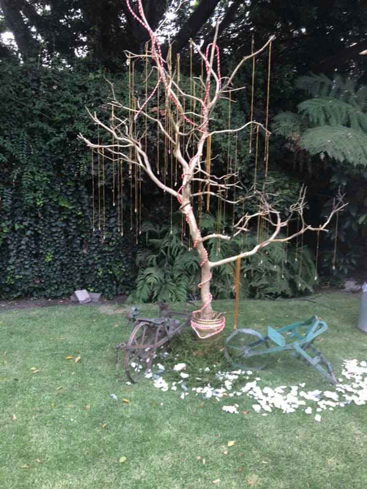 Ya me casé y todo estuvo increíble 😍 - 6