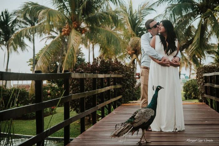 Vestidos para damas de honor con descuentos - 1