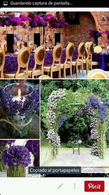 Boda violeta - 5