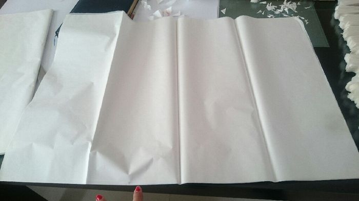 Pompones de papel china - 1