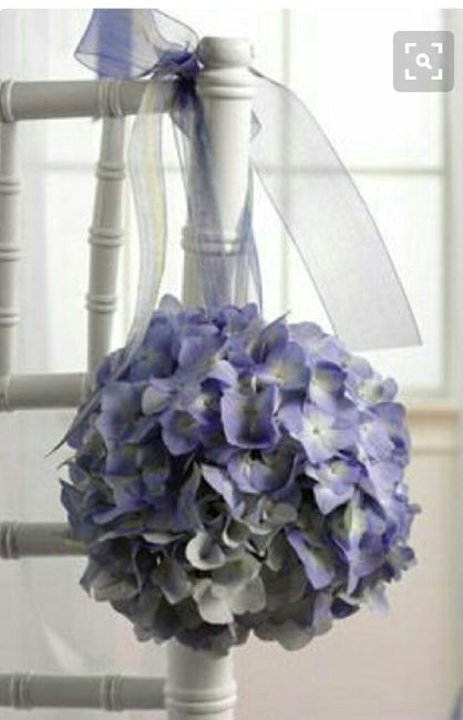 Me destruyen mis pompones :( - 1