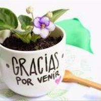 tasitas 