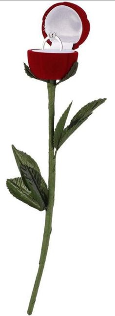 Para el anillo de compromiso 💍, cajas temáticas 32