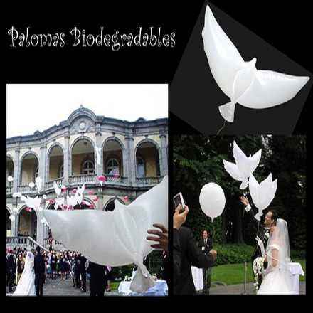 palomas bio