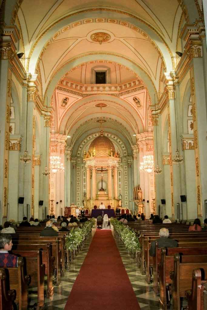 Flores favoritas! - 1