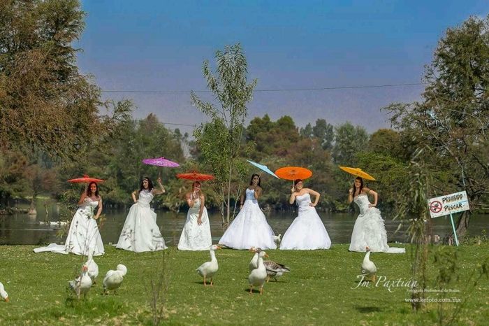 6 novias 1 fotografo...nuestra sesión - 6