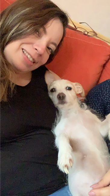 Me caso y dejo a mi perro 3