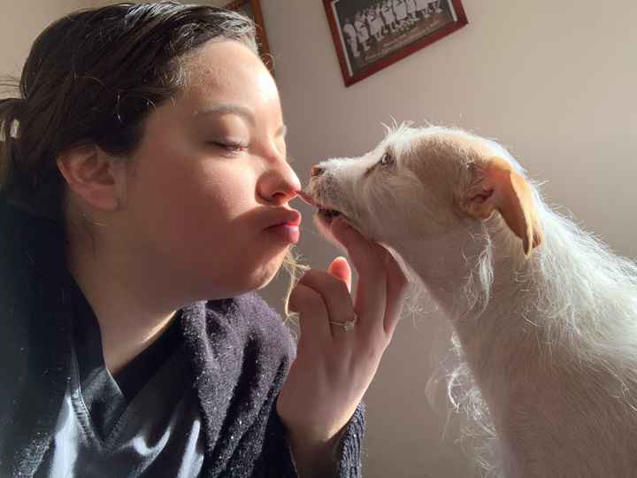 Me caso y dejo a mi perro - 3