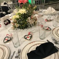 Boda de pingüinos!!! - 4