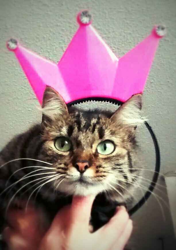 La foto de tu mascota! - 1