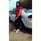 Rachell