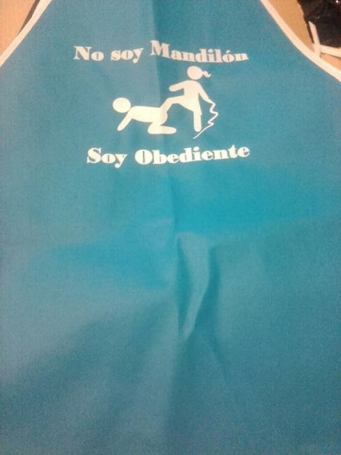 Mis mandiles de festiboda!! - 4