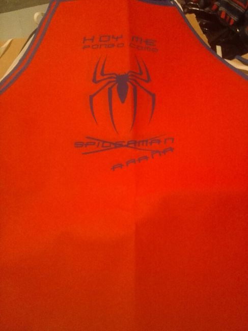 Mis mandiles de festiboda!! - 6