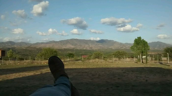 Confundida centros de mesa! - 1