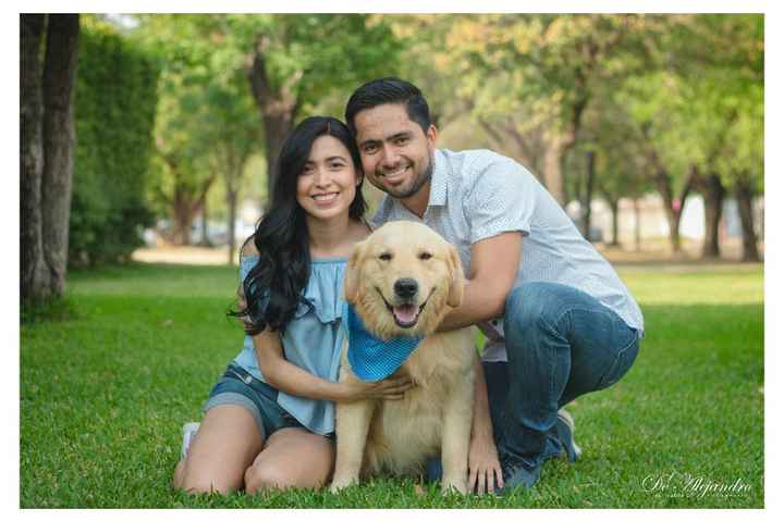 Les presento a bailey - 3