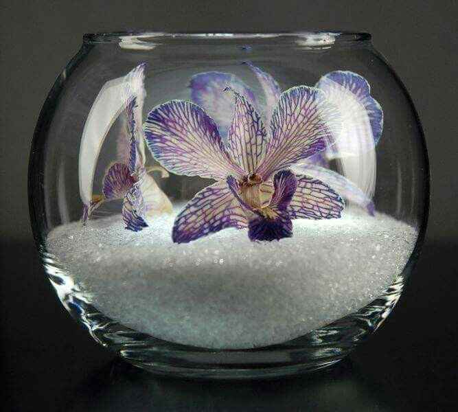 Centro de mesa con peceras. - 5