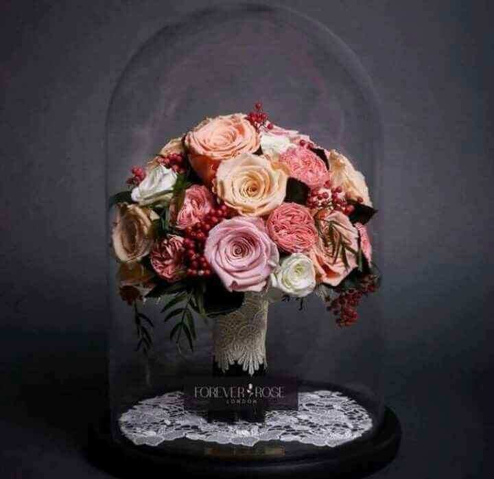 Rosas encapsuladas. - 1