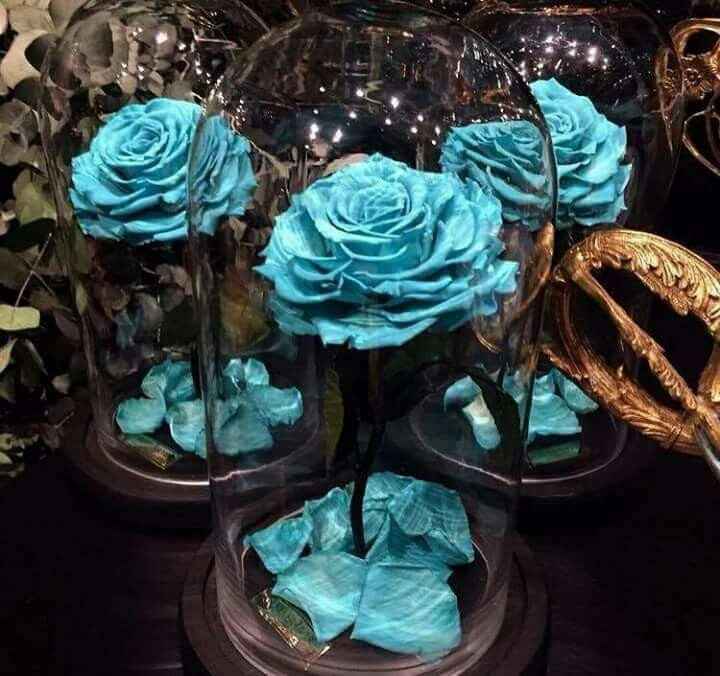 Rosas encapsuladas. - 3