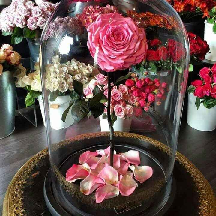 Rosas encapsuladas. - 5