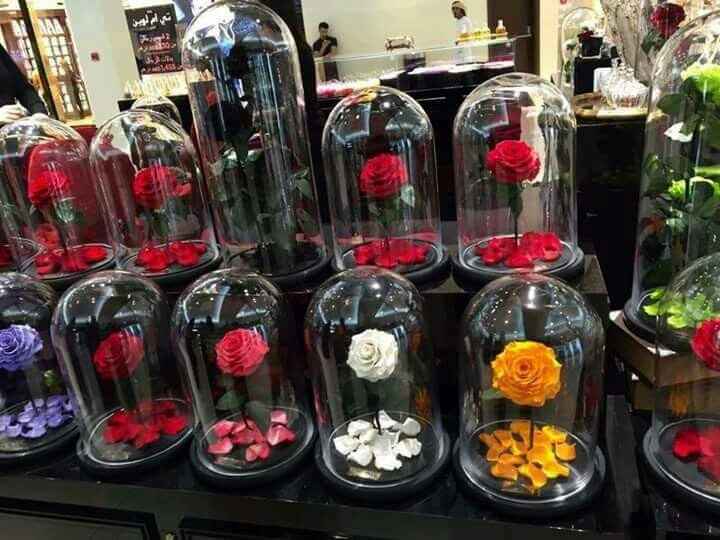 Rosas encapsuladas. - 8