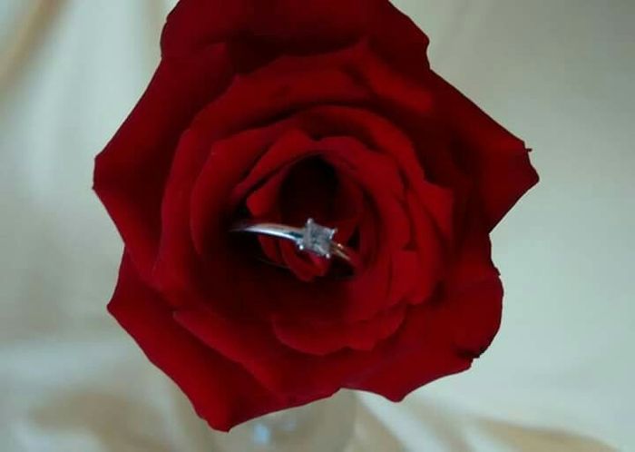 Presume tu anillo :) - 1